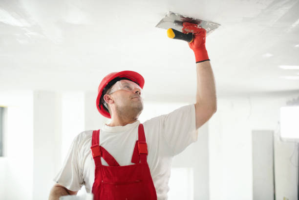 Best Exterior Painting  in Ashland, IL